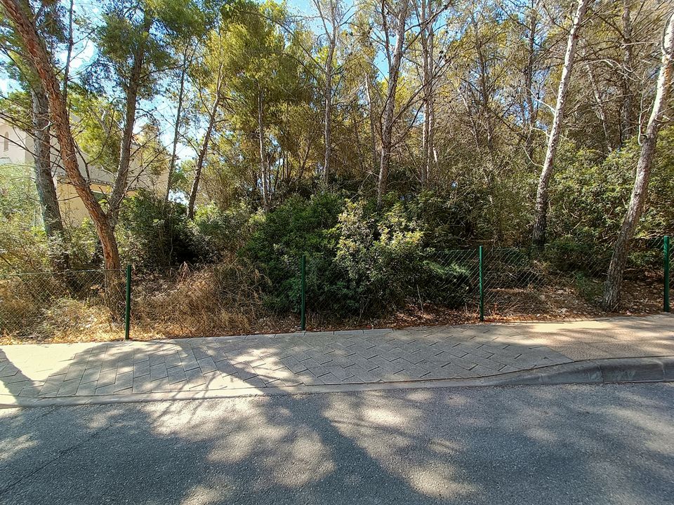 Helårsgrund i Sol De Mallorca, Mallorca - foto 4