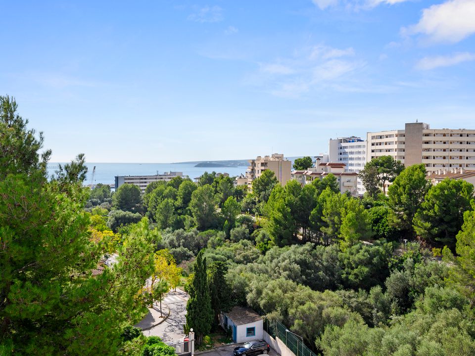 Lejlighed i Portals Nous, Mallorca - foto 1