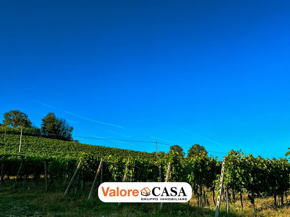 Villa i Maranzana, Asti - foto 3
