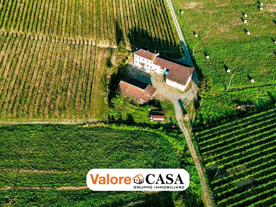 Villa i Maranzana, Asti - foto 4