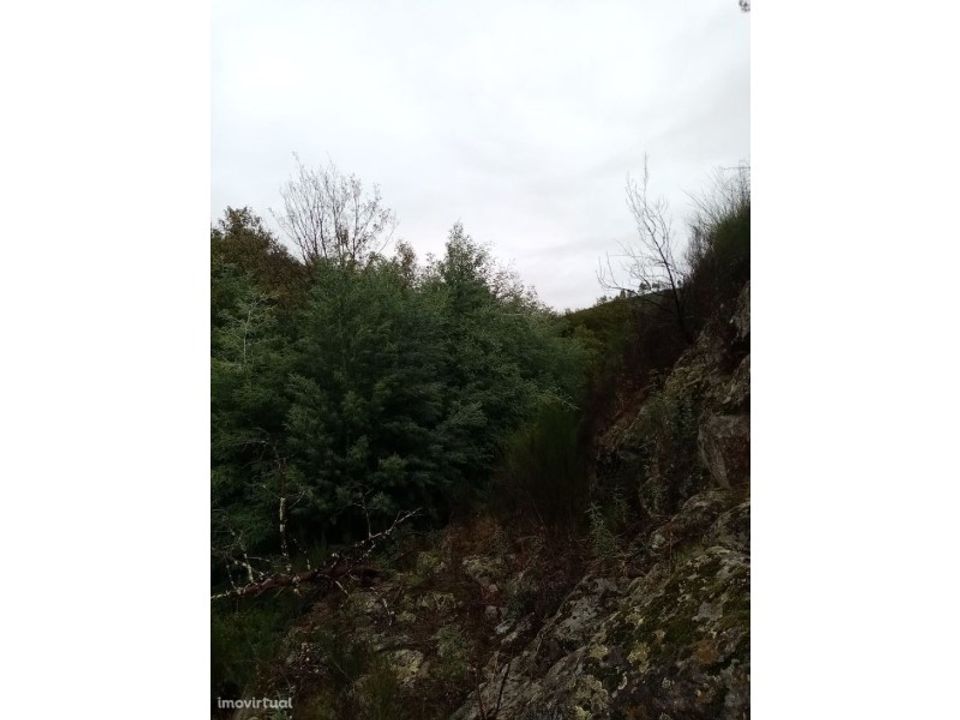 Terreno en Gaviao, Portalegre - foto 3
