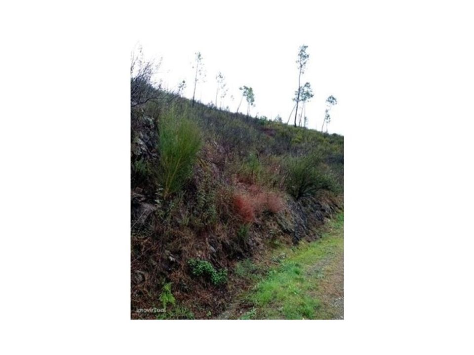 Terreno en Gaviao, Portalegre - foto 4