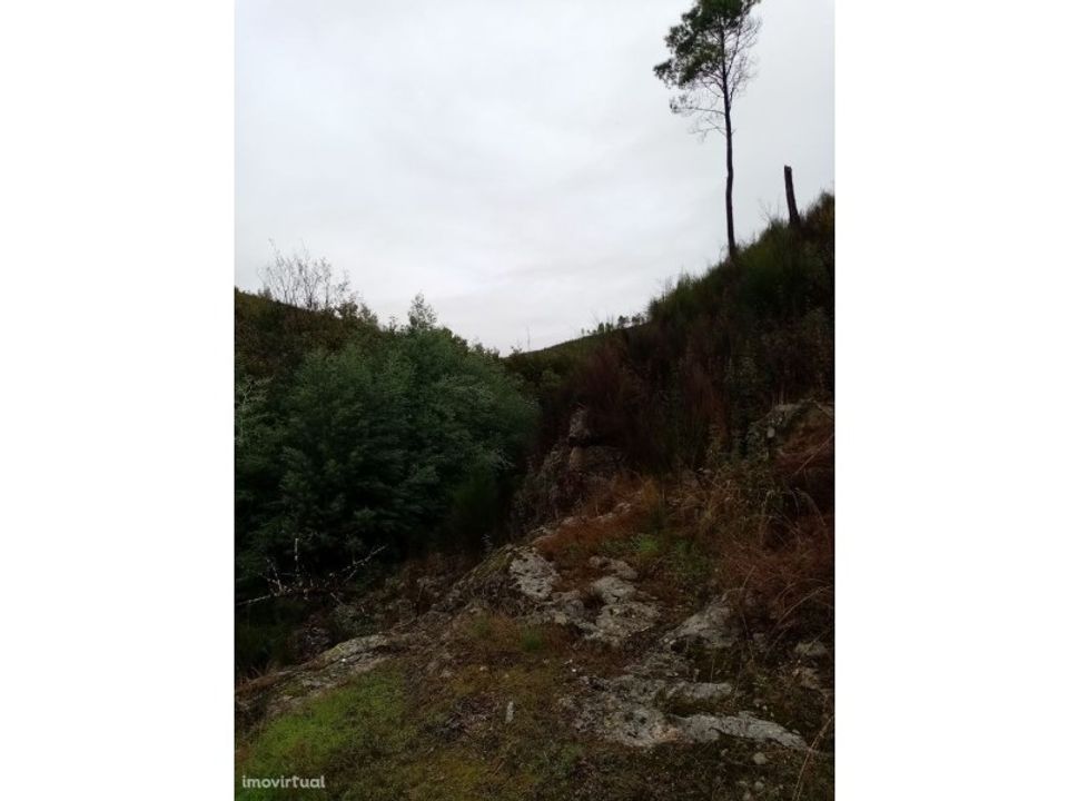 Terreno en Gaviao, Portalegre - foto 5