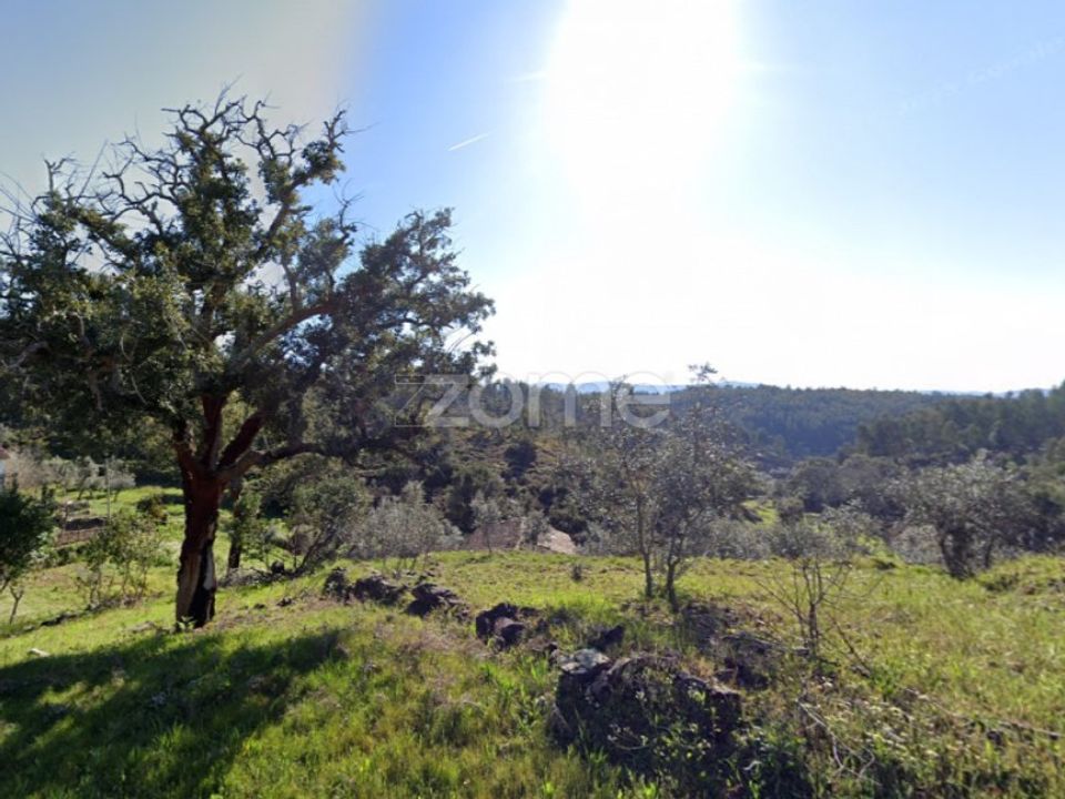 Helårsgrund i Troviscal, Castelo Branco - foto 2