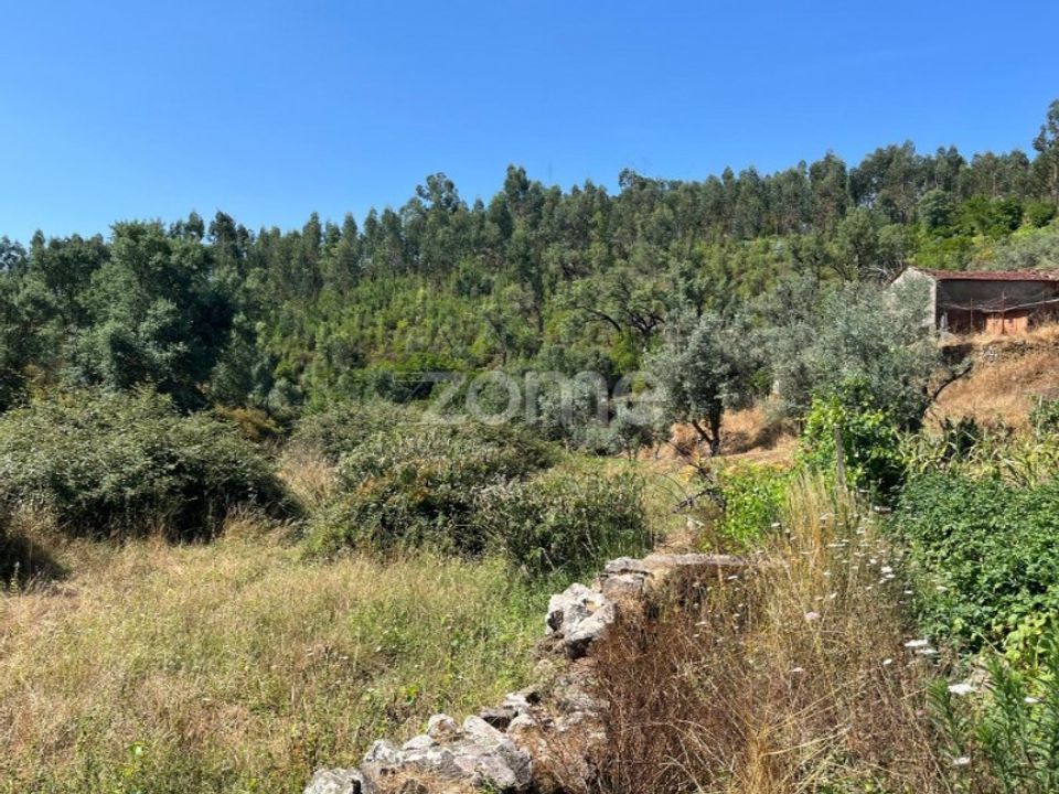Helårsgrund i Troviscal, Castelo Branco - foto 5