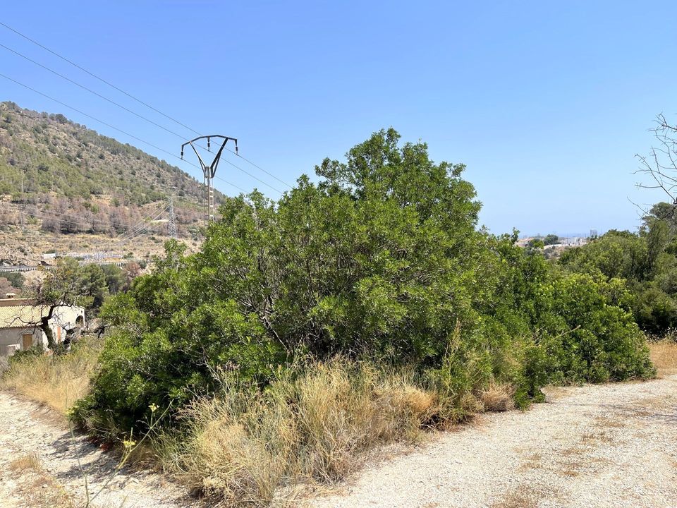 Helårsgrund i Calpe, Alicante - foto 3