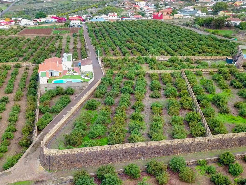 Villa i Tegueste, Tenerife - foto 1