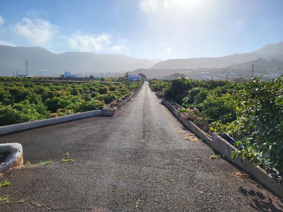 Villa i Tegueste, Tenerife - foto 2