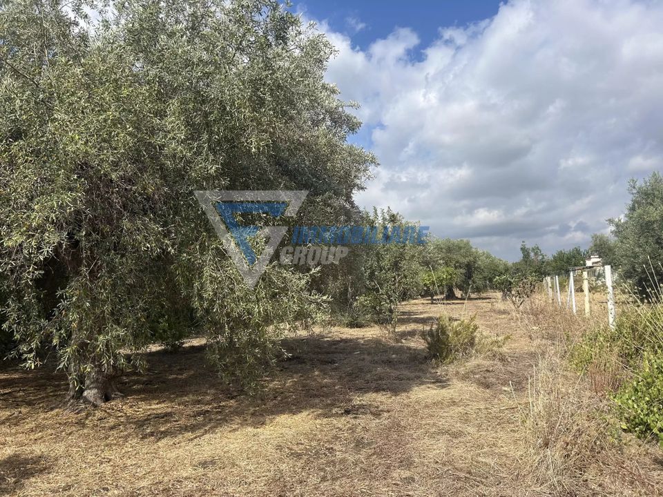 Villa i Siracusa, Siracusa - foto 4