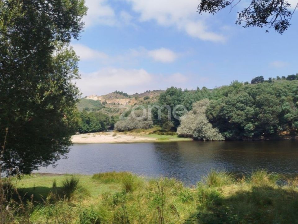 Helårsgrund i Abrunhosa-a-Velha, Viseu - foto 3