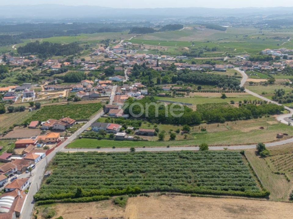 Helårsgrund i Anadia, Aveiro - foto 2
