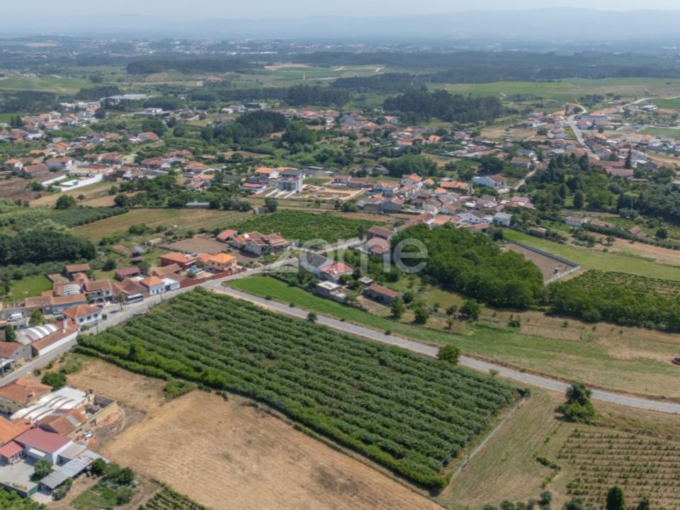 Helårsgrund i Anadia, Aveiro - foto 4