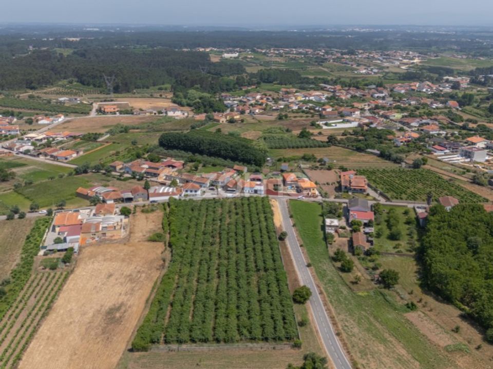 Helårsgrund i Anadia, Aveiro - foto 5
