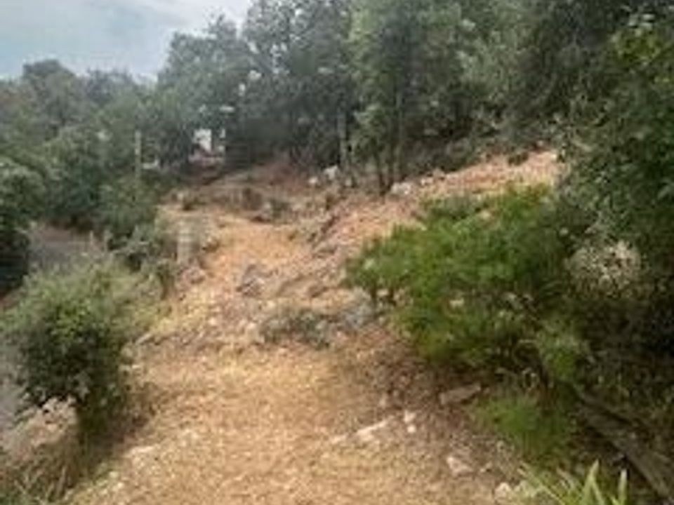Helårsgrund i Tourrettes-sur-Loup, Alpes-Maritimes - foto 5