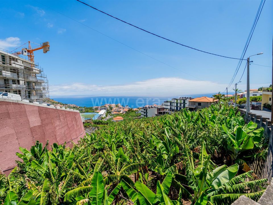 Tomt i Camara de Lobos, Madeira - bilde 1