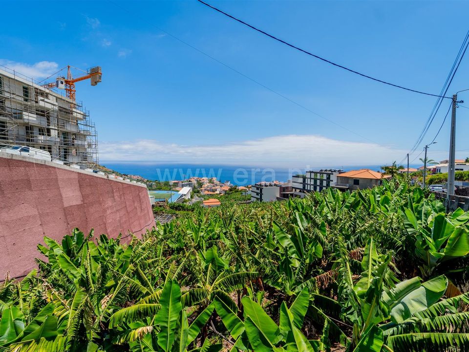 Tomt i Camara de Lobos, Madeira - bilde 3