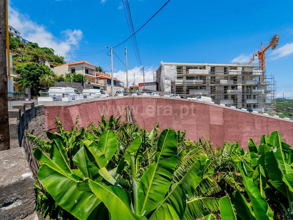 Tomt i Camara de Lobos, Madeira - bilde 4