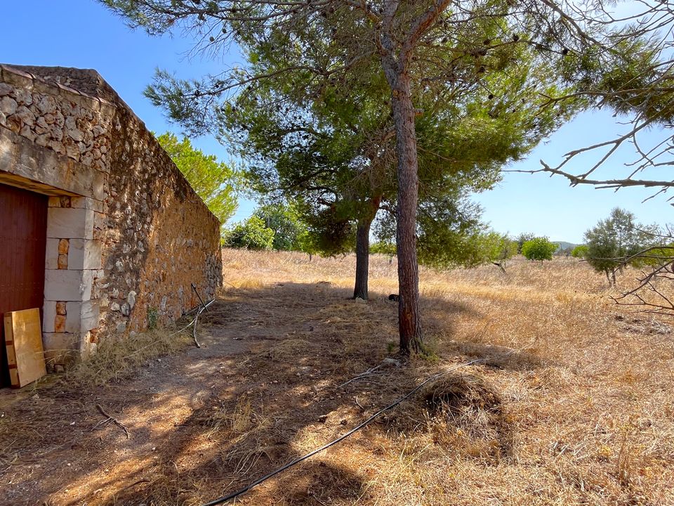 Helårsgrund i Porto Cristo, Mallorca - foto 4