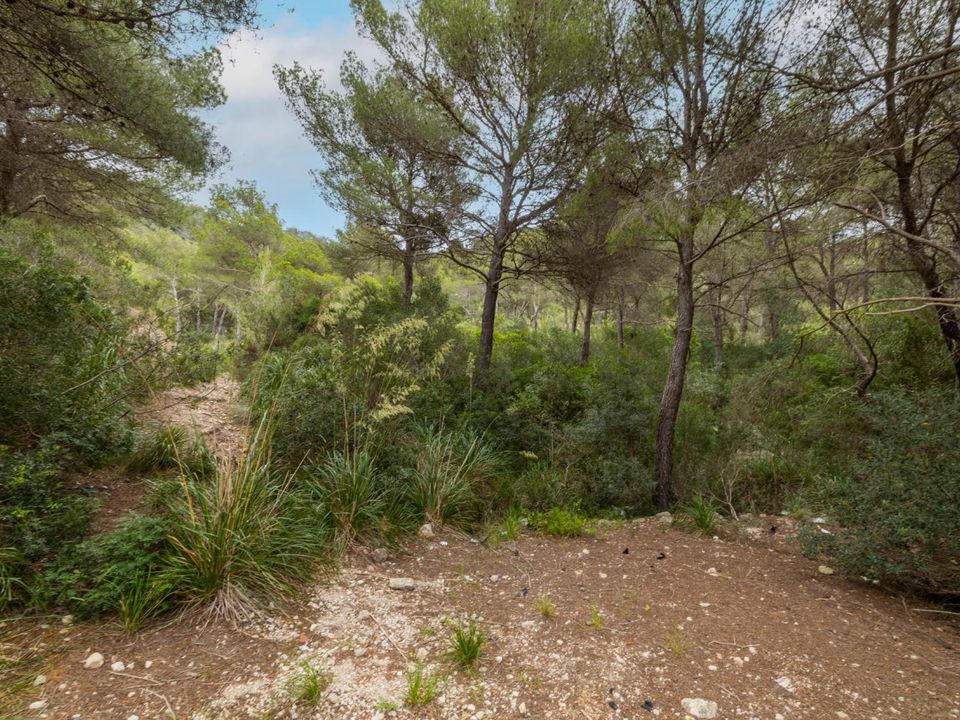 Helårsgrund i Capdepera, Mallorca - foto 3