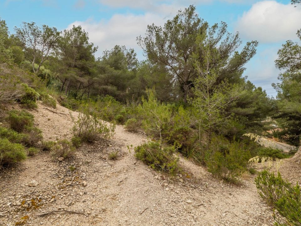 Helårsgrund i Capdepera, Mallorca - foto 4