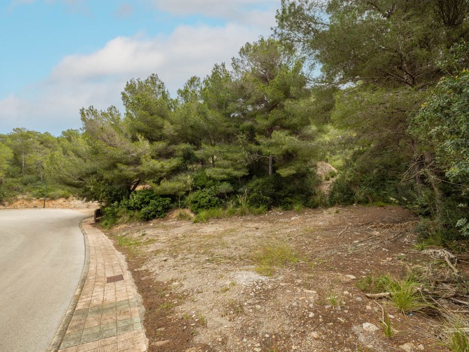 Helårsgrund i Capdepera, Mallorca - foto 5