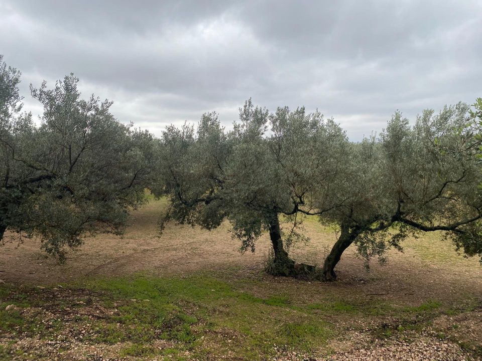 Helårsgrund i Roquetes, Tarragona - foto 1