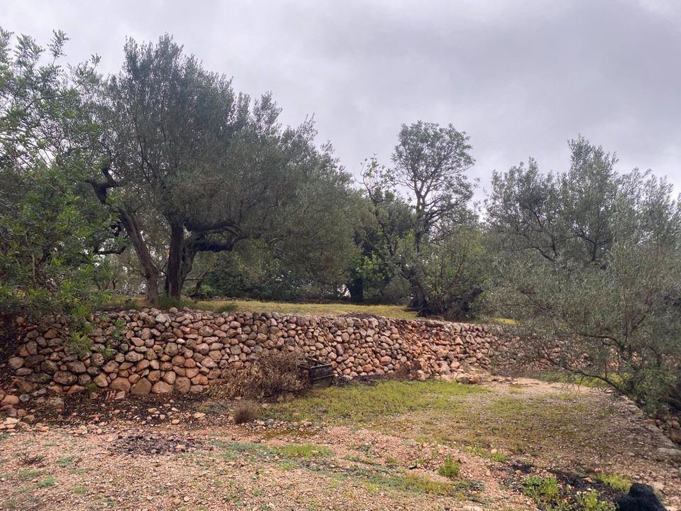 Helårsgrund i Roquetes, Tarragona - foto 2