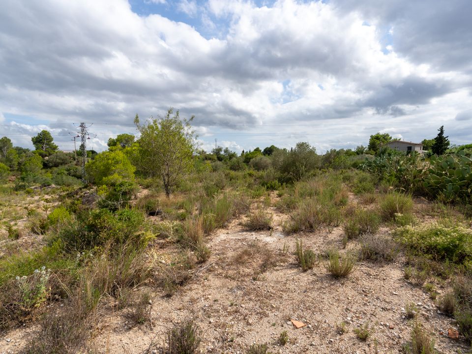 Finca i Tortosa, Tarragona - foto 3