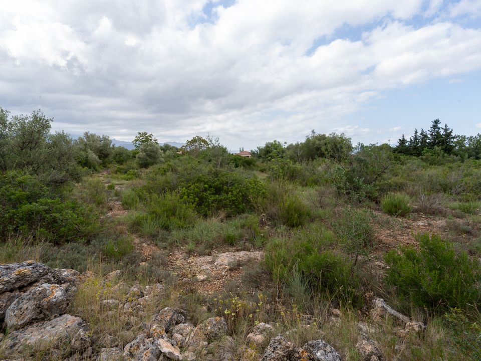 Finca a Roquetes, Tarragona - foto 3
