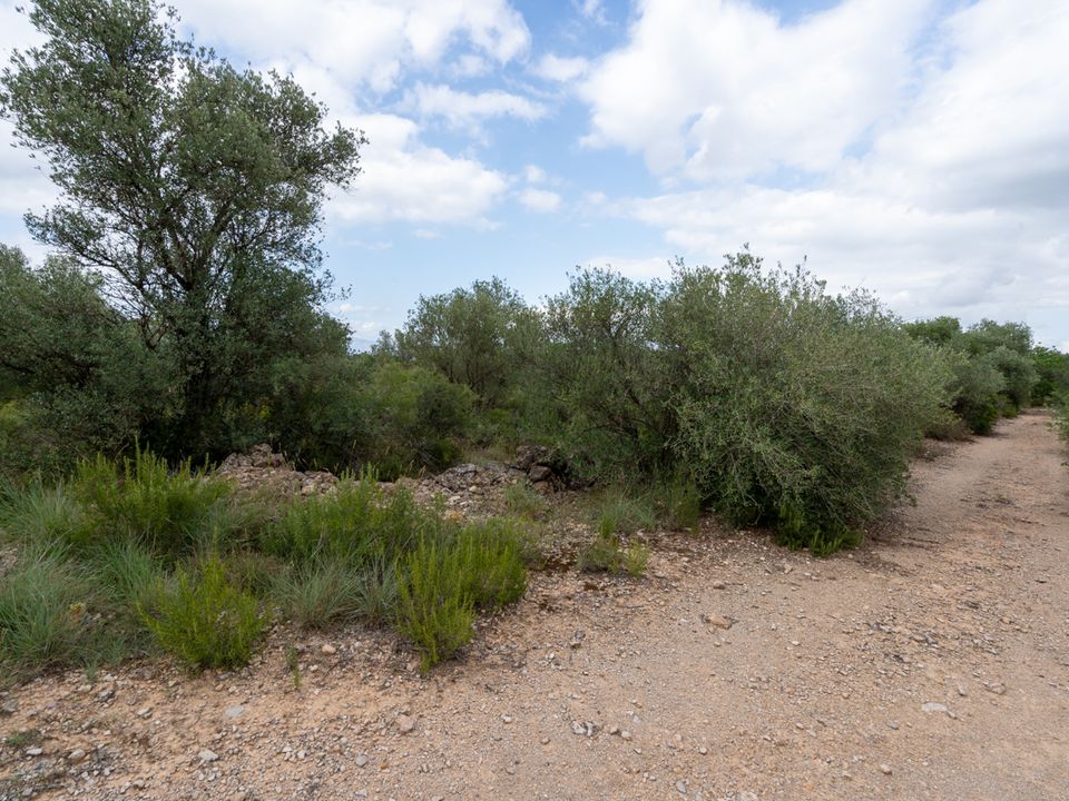 Finca a Roquetes, Tarragona - foto 2