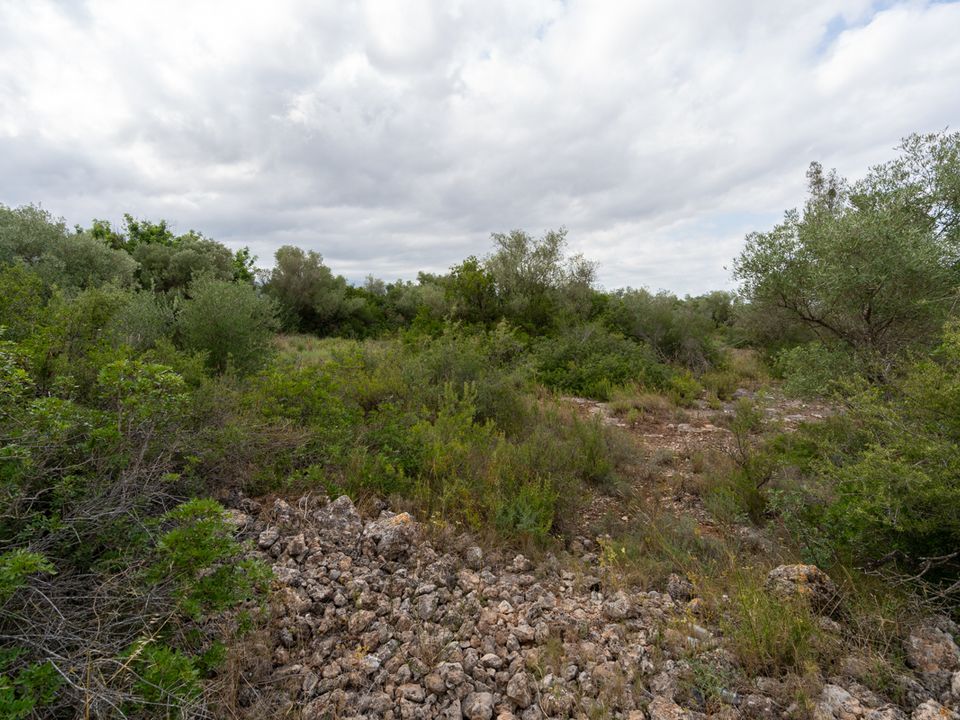 Finca a Roquetes, Tarragona - foto 1