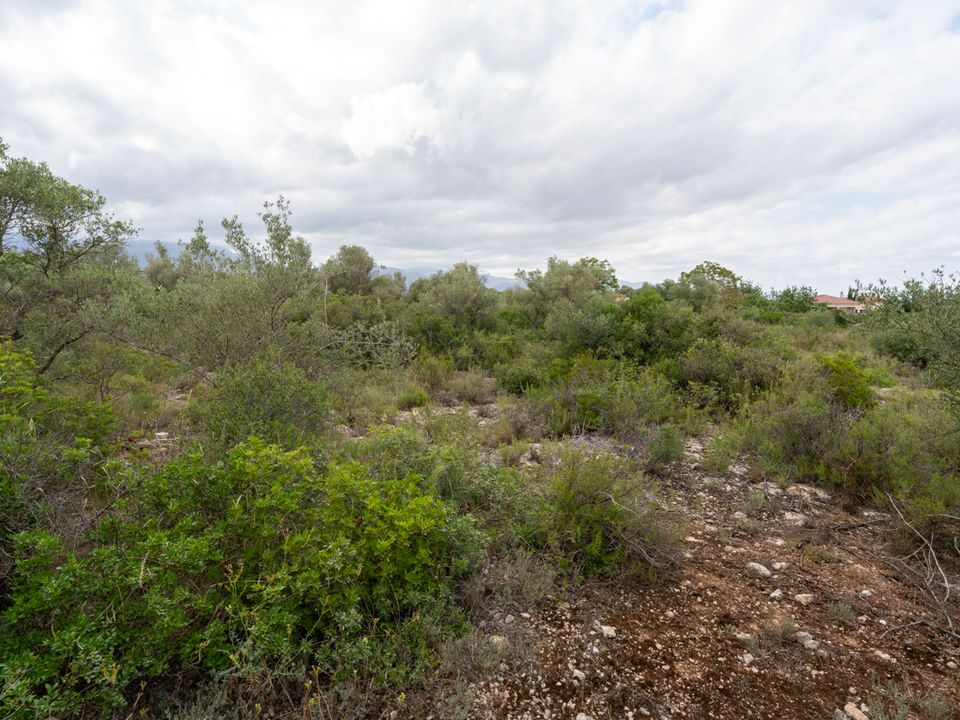 Finca a Roquetes, Tarragona - foto 4