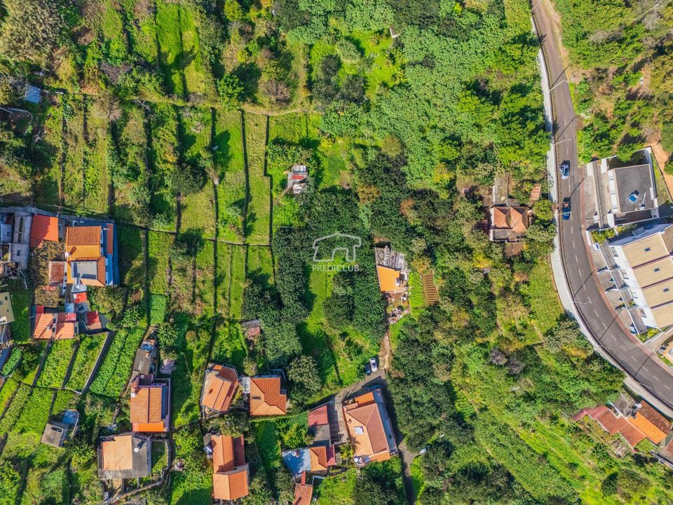 Tomt i Machico, Madeira - bilde 4