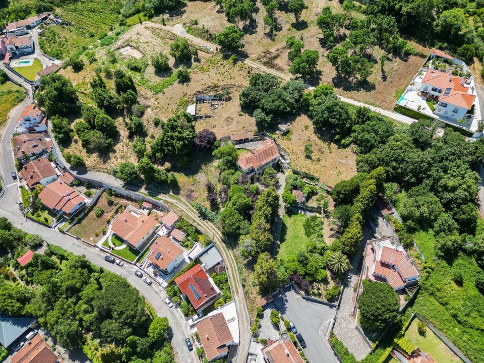 Farm hus i Alcobaca, Leiria - foto 2