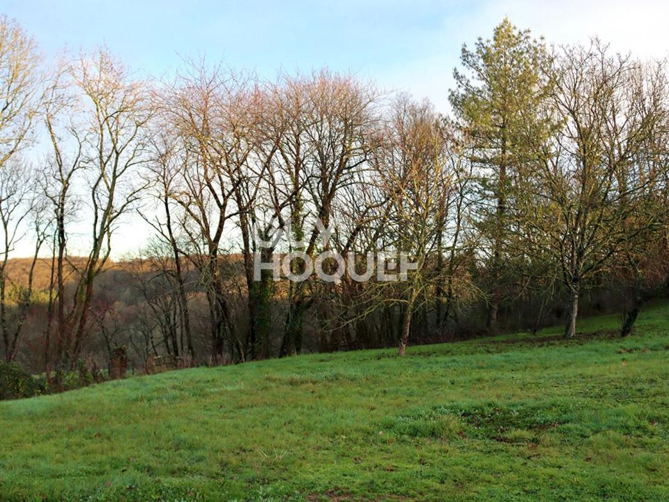 Helårsgrund i Mervent, Vendee - foto 2