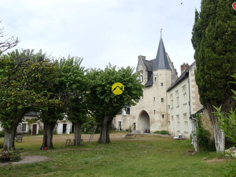 Villa i Coteaux-sur-Loire, Indre-et-Loire - foto 1