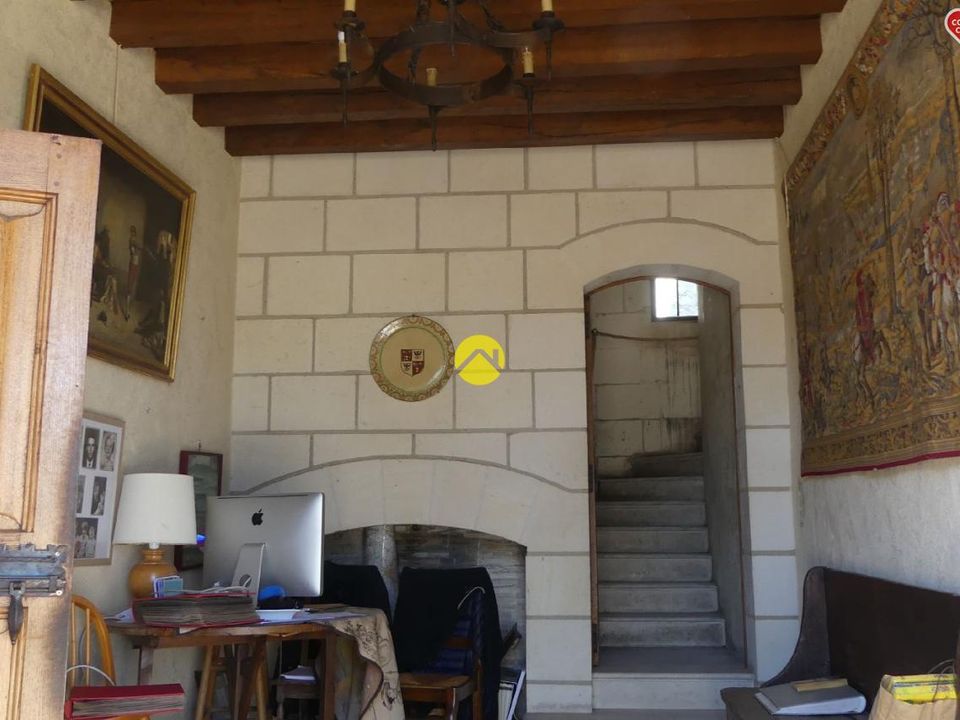 Villa i Coteaux-sur-Loire, Indre-et-Loire - foto 2