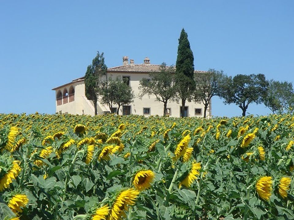 Farm hus i Cortona, Arezzo - foto 4