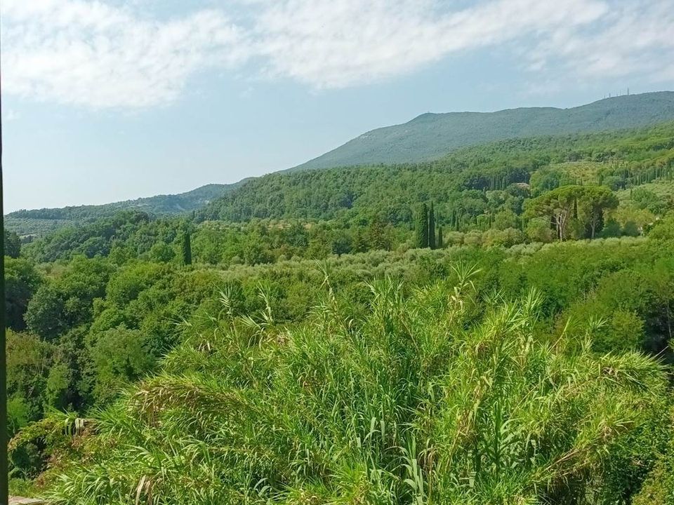 Rækkehus i Cetona, Siena - foto 4