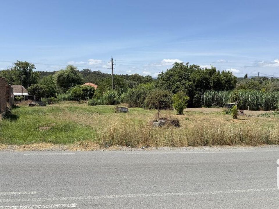 Terra a Santarem, Santarem - foto 1