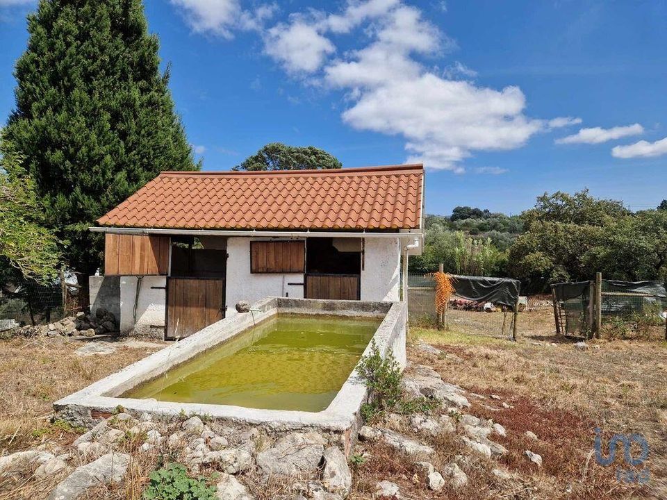 Helårsgrund i Porto de Mos, Leiria - foto 4