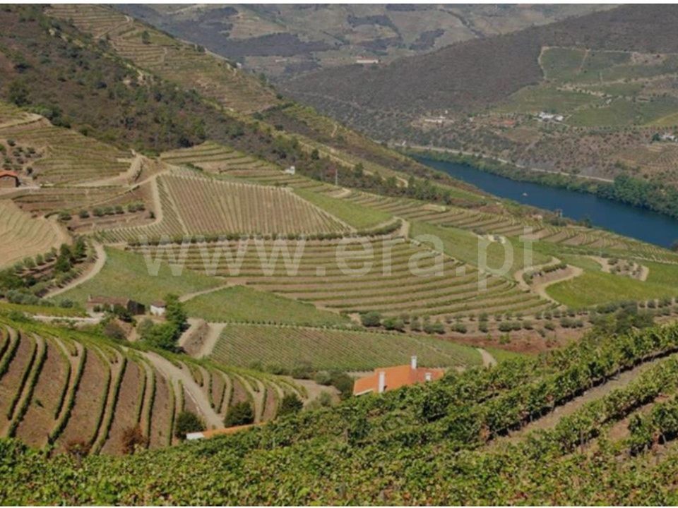Masia a Sao Joao da Pesqueira, Viseu - foto 1