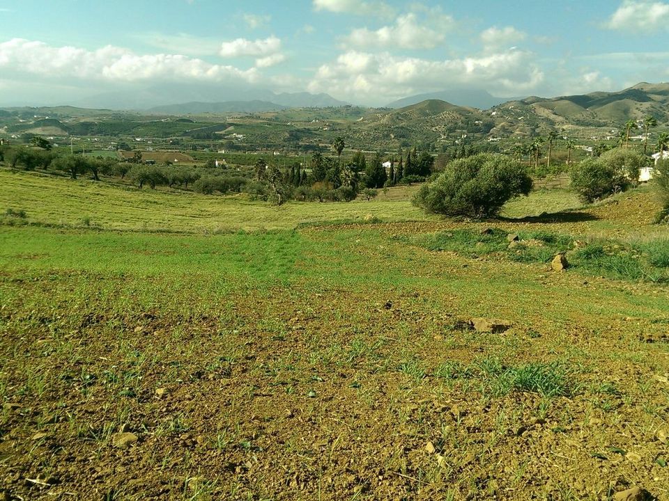 Helårsgrund i Alora, Malaga - foto 1