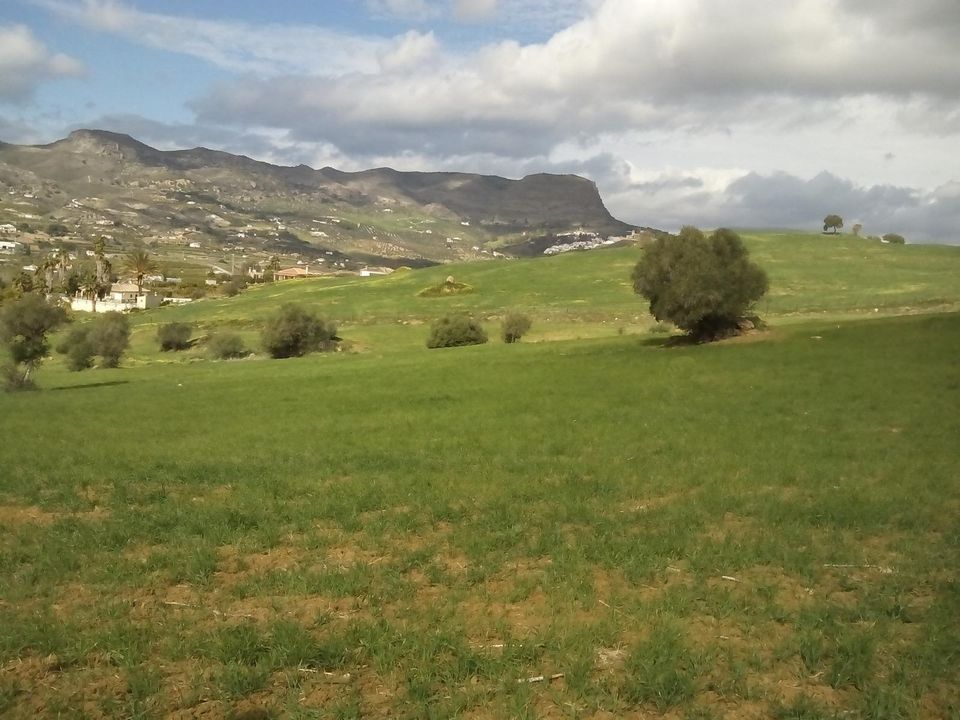 Helårsgrund i Alora, Malaga - foto 2