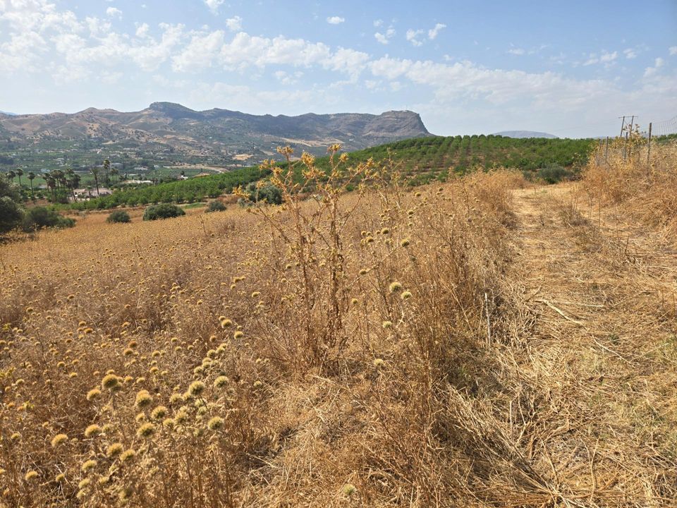 Helårsgrund i Alora, Malaga - foto 3