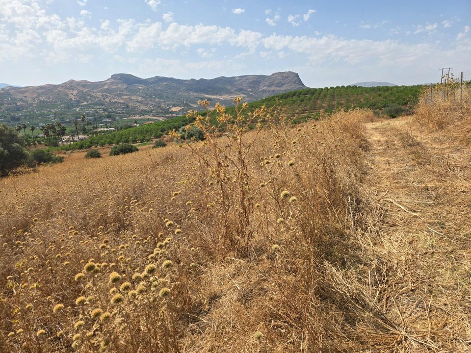 Helårsgrund i Alora, Malaga - foto 4