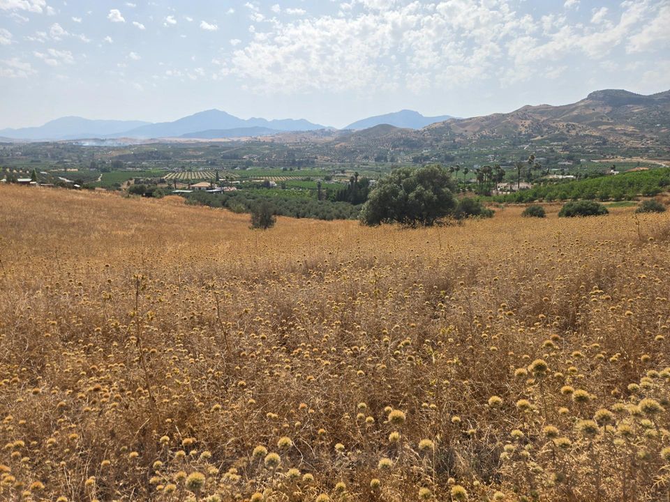 Helårsgrund i Alora, Malaga - foto 5