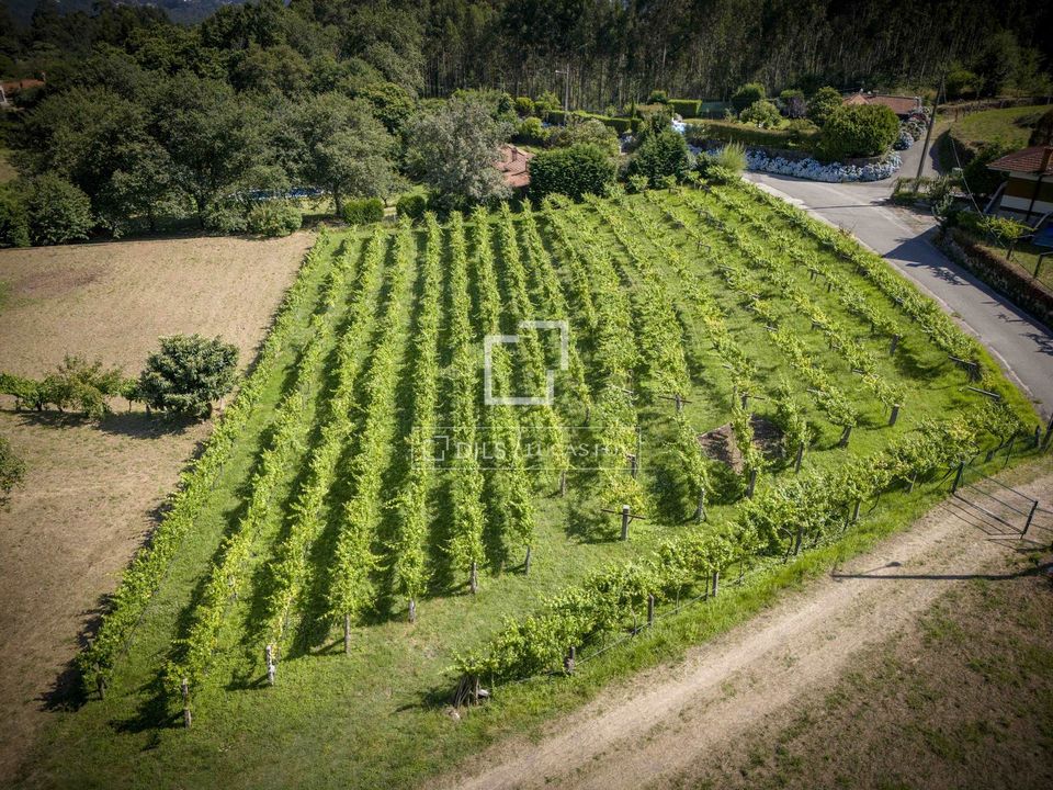 Erhvervsejendom i Tomino, Pontevedra - foto 3