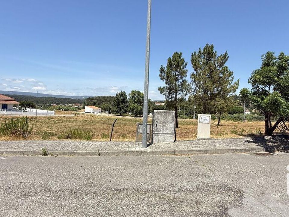 Terra a Santarem, Santarem - foto 1