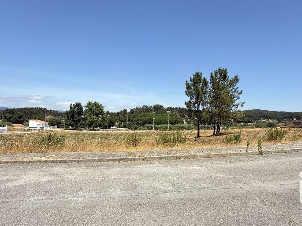 Terra a Santarem, Santarem - foto 3